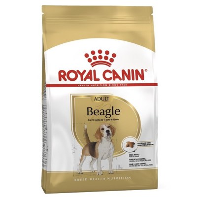 royal-canin-beagle-