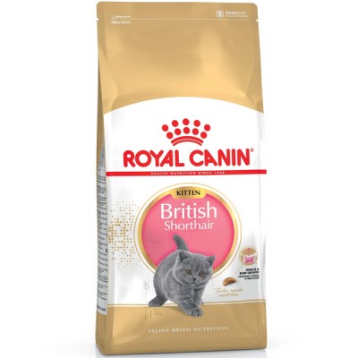 royal-canin-british-shorthair-kitten