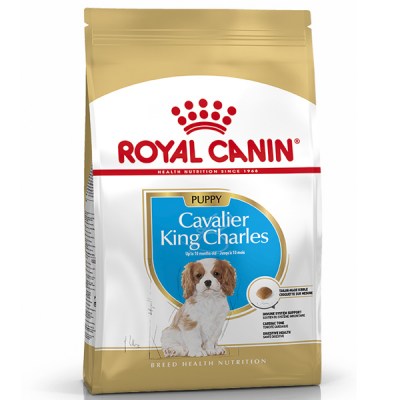 royal-canin-cavalier-king-charles-spaniel-puppy