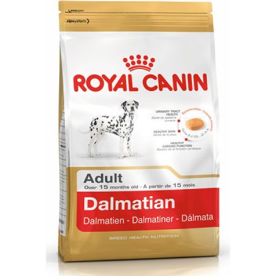 royal-canin-dalmatian