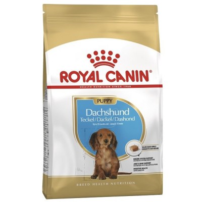 royal-canin-daschund-puppy