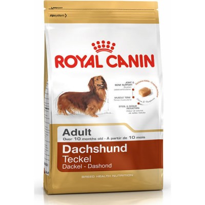 royal-canin-daschund