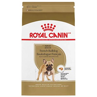 royal-canin-french-bulldog-