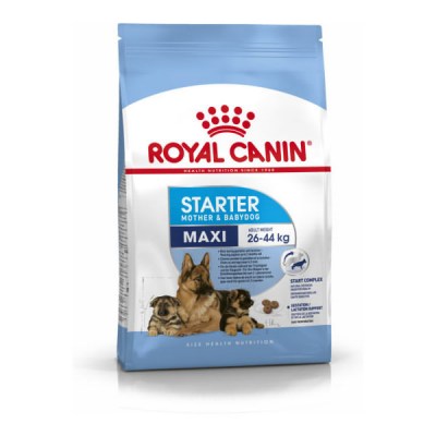 royal-canin-maxi-starter-
